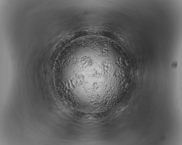 X0000113330913200909141423