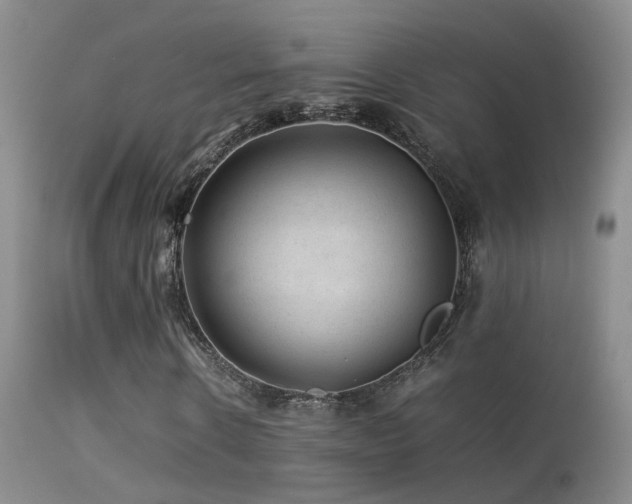 X0000113330914200909141423