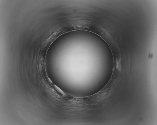X0000113330915200909141423