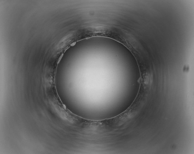 X0000113330916200909141423