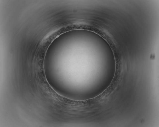 X0000113330919200909141423
