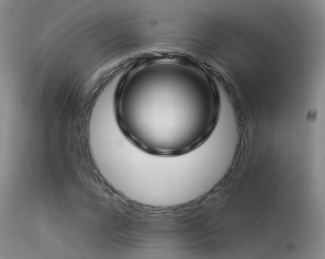 X0000113330920200909141423