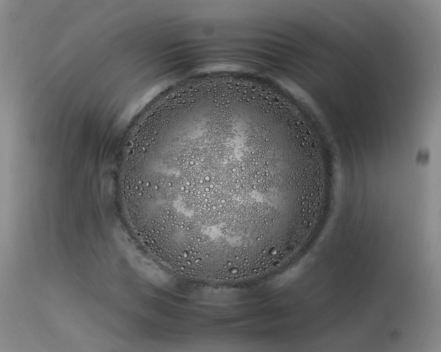 X0000113330921200909141423