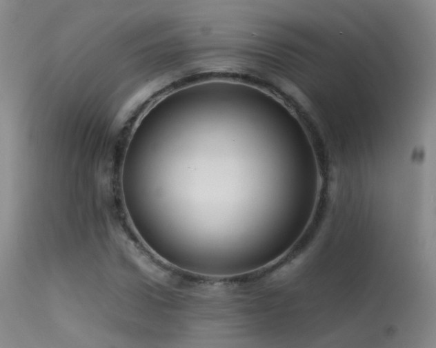 X0000113330922200909141423