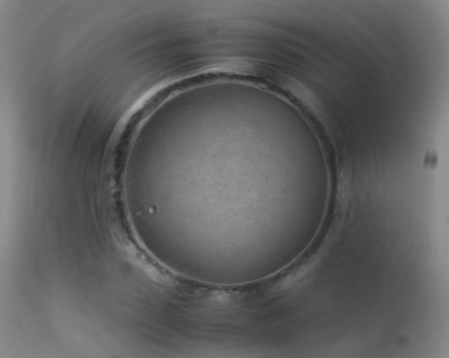 X0000113330923200909141423