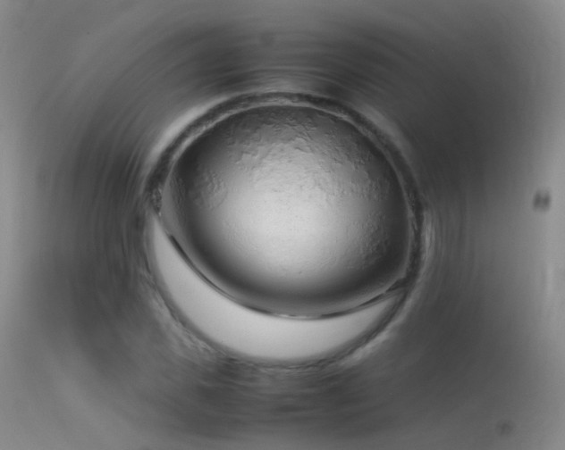 X0000113330925200909141423