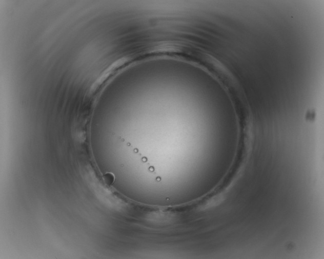X0000113330929200909141423