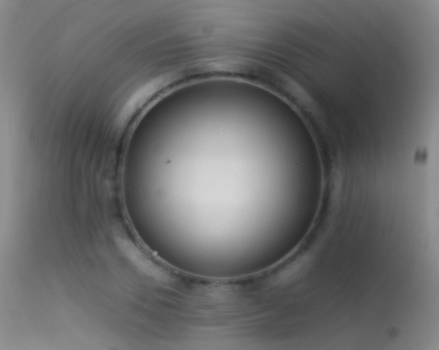 X0000113330930200909141423
