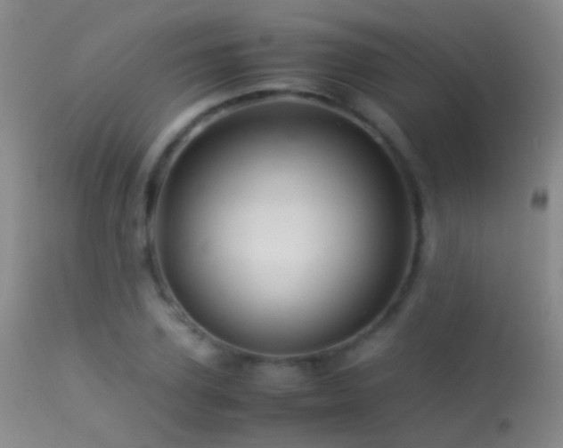 X0000113330931200909141423