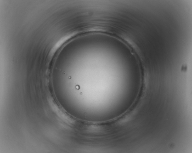 X0000113330933200909141423