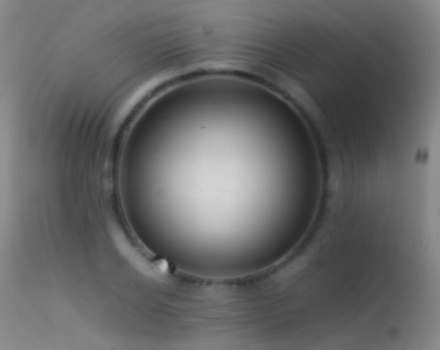 X0000113330934200909141423