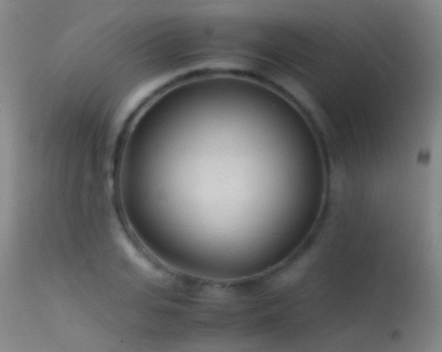 X0000113330935200909141423