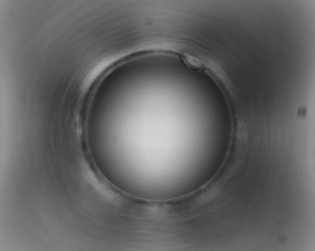 X0000113330936200909141423