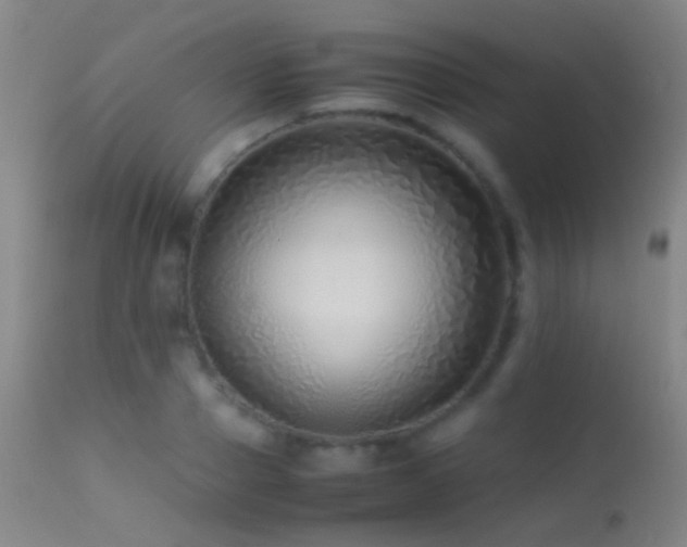 X0000113330937200909141423