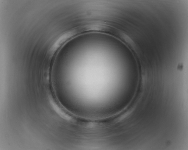 X0000113330938200909141423