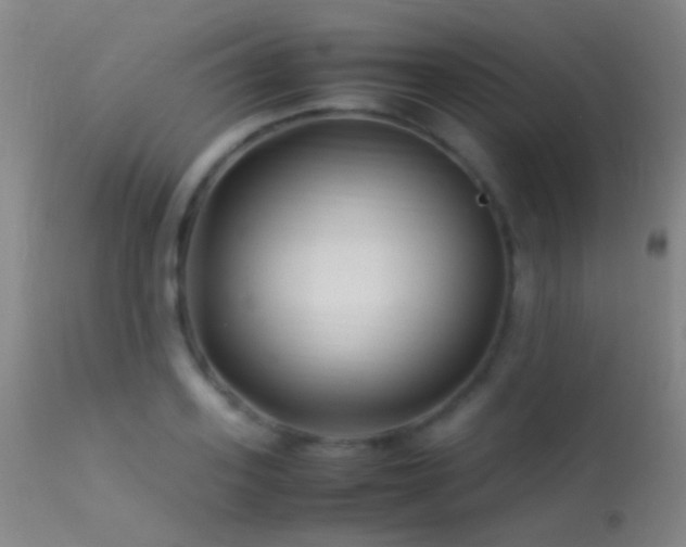 X0000113330939200909141423