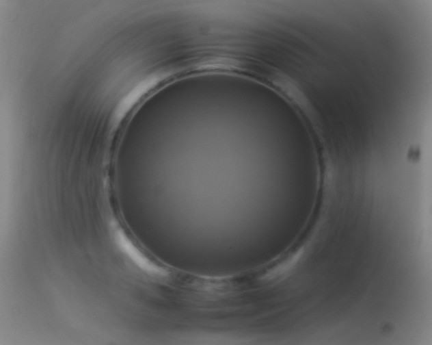 X0000113330941200909141423