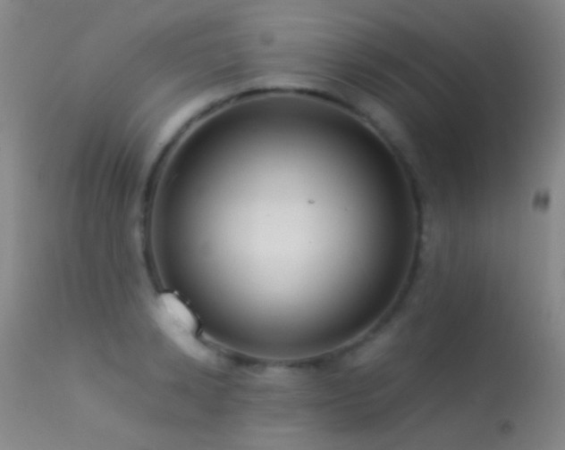 X0000113330942200909141423