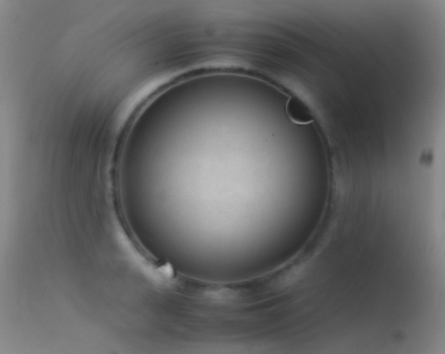 X0000113330943200909141423