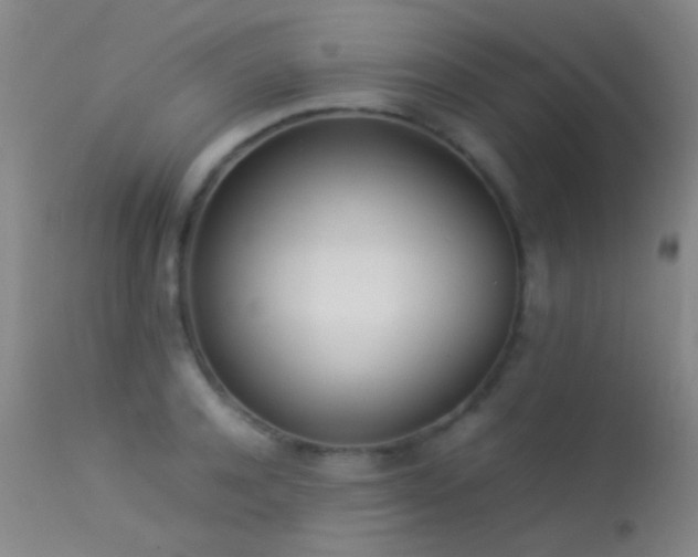 X0000113330944200909141423