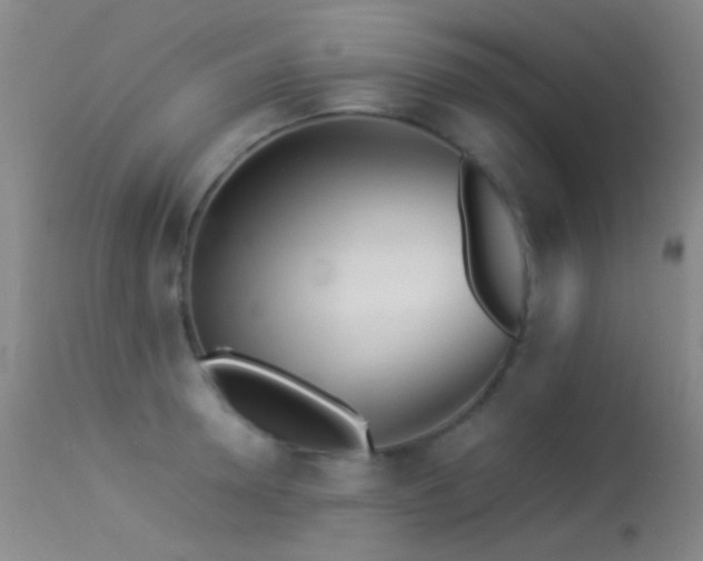 X0000113330946200909141423
