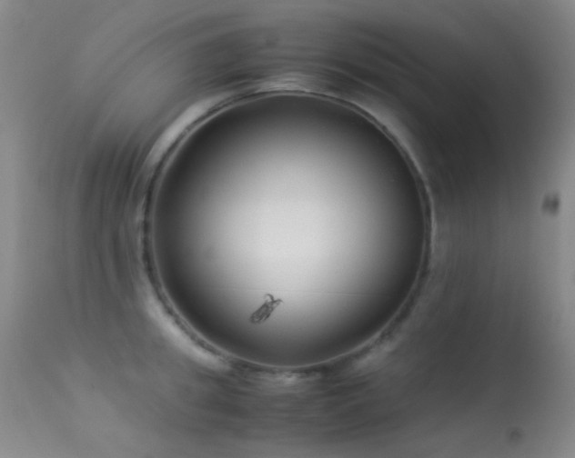 X0000113330949200909141424
