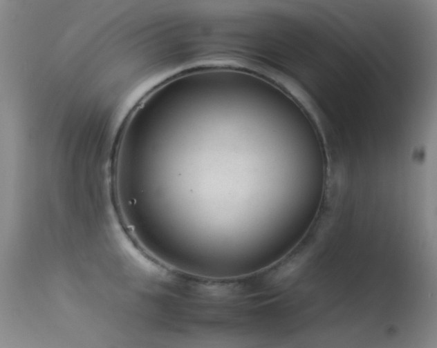 X0000113330951200909141424
