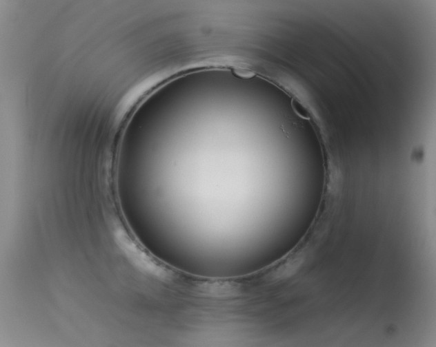X0000113330952200909141424