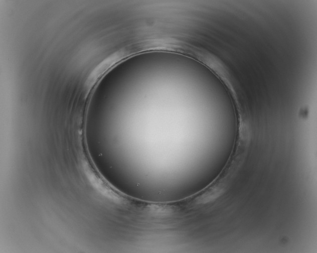 X0000113330954200909141424