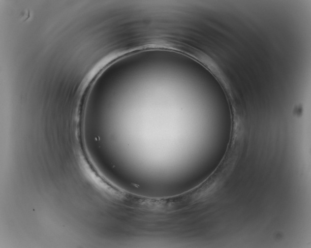 X0000113330955200909141424