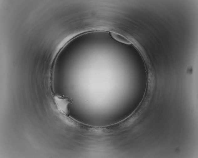 X0000113330956200909141424