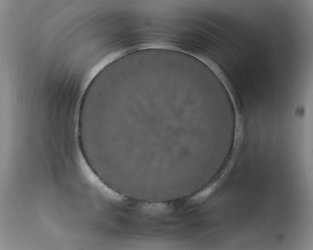 X0000113330957200909141424