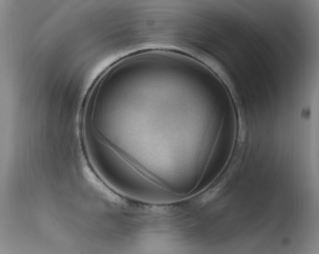 X0000113330958200909141424