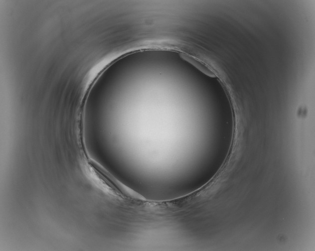 X0000113330960200909141424