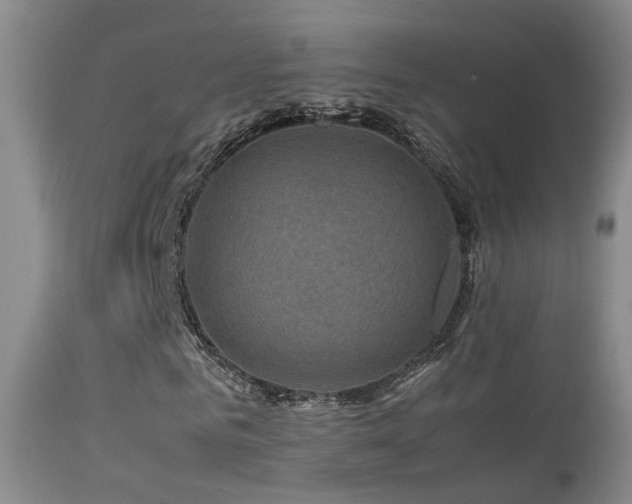 X0000113330961200909141423