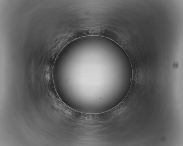 X0000113330962200909141423