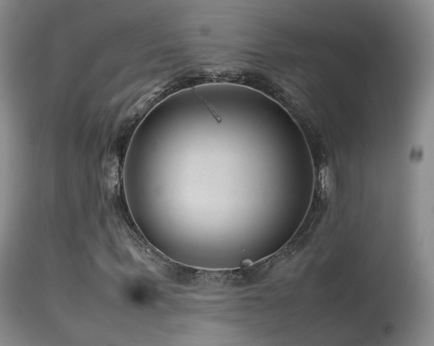 X0000113330963200909141423