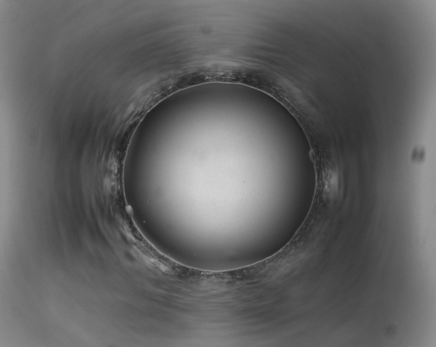 X0000113330964200909141423