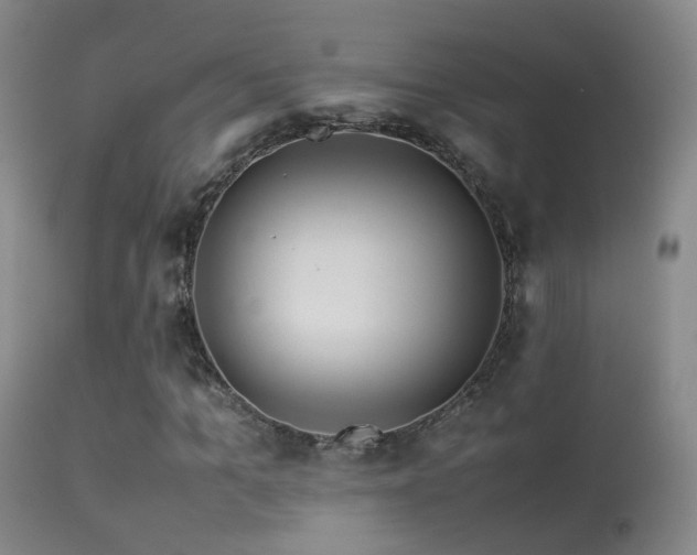 X0000113330965200909141423