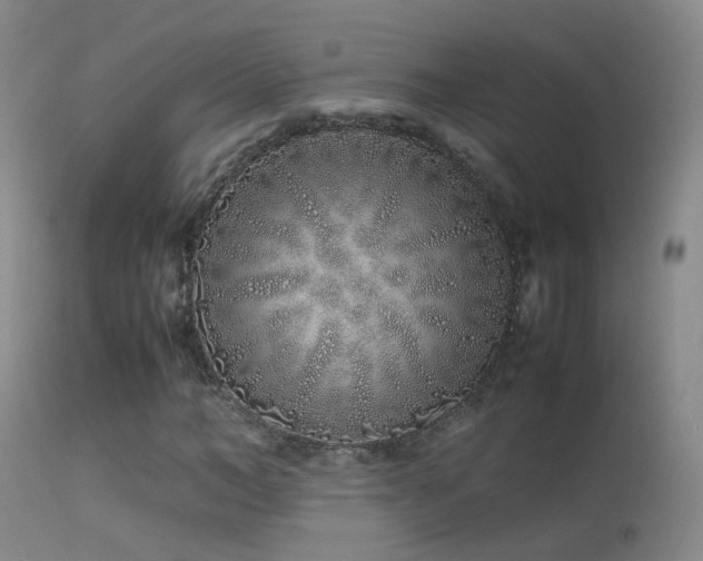 X0000113330966200909141423