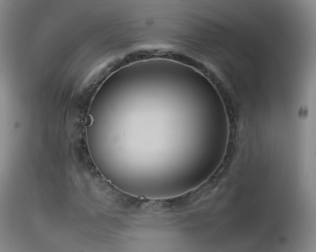 X0000113330967200909141423