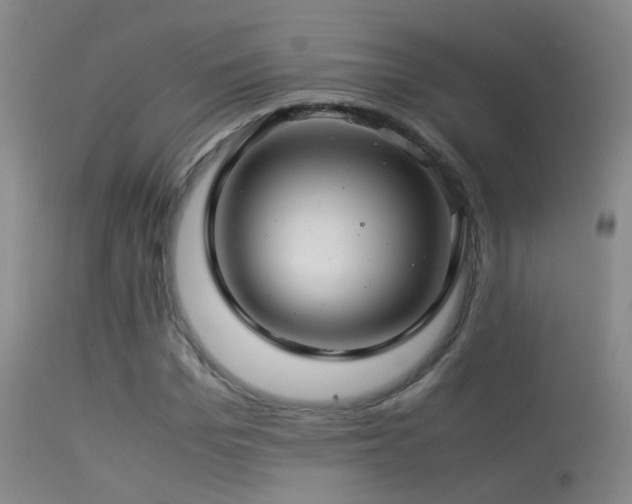 X0000113330969200909141423