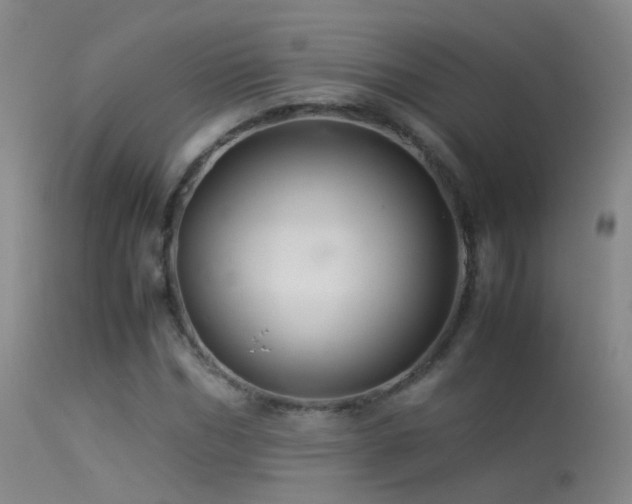 X0000113330970200909141423