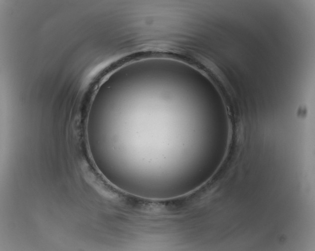 X0000113330971200909141423