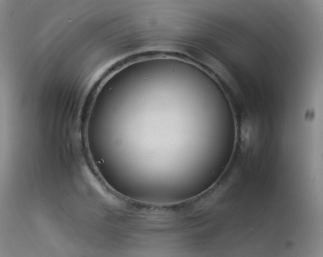 X0000113330972200909141423
