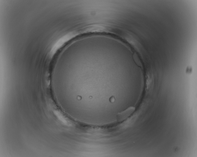 X0000113330973200909141423