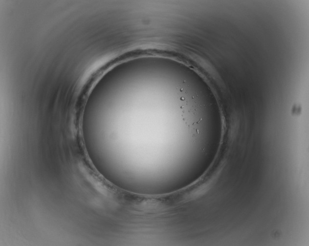 X0000113330974200909141423