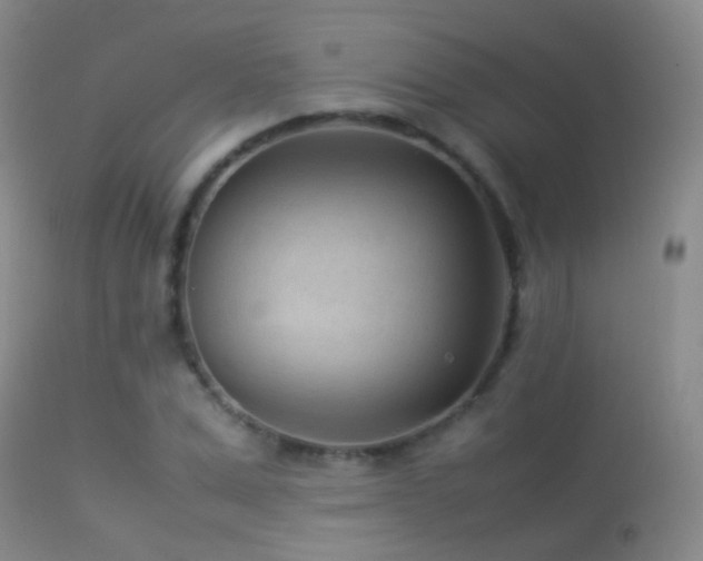 X0000113330975200909141423