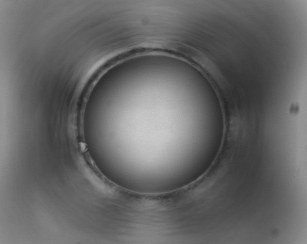 X0000113330976200909141423