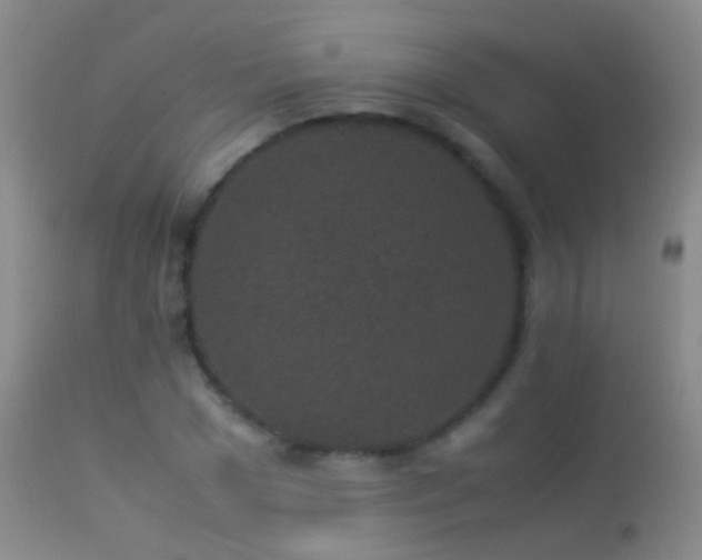 X0000113330977200909141422